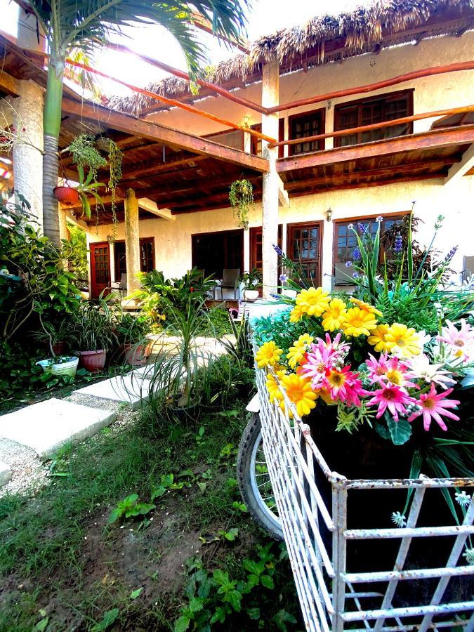 Готель Don Panchon Y Maruxa Isla Holbox Екстер'єр фото